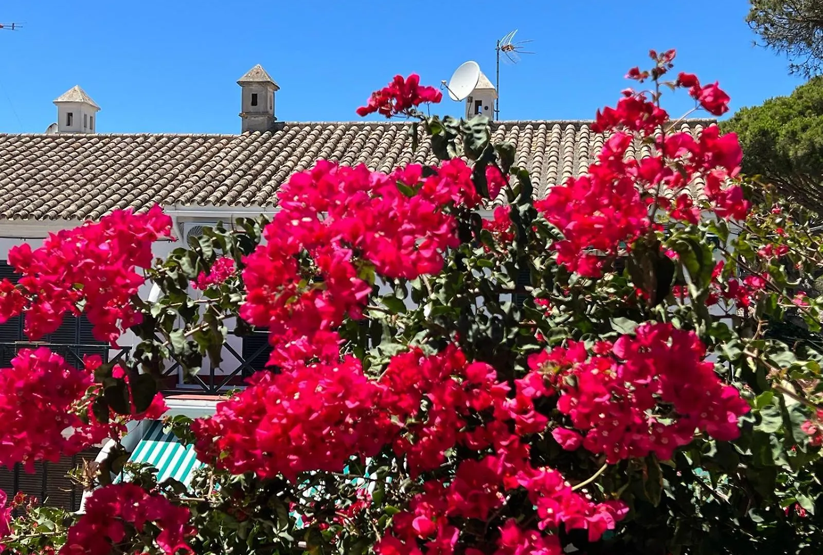 Holiday home La Buganvilla Chiclana de la Frontera Spain